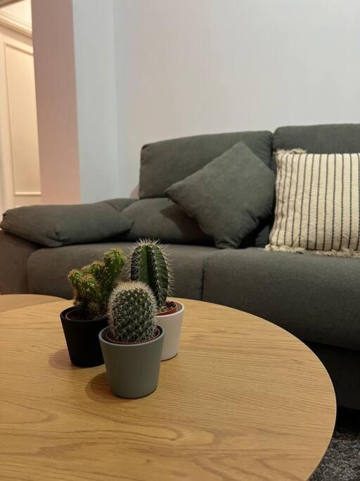 Top Duplex Centro "La Plazuela" Jerez de la Frontera Exteriör bild